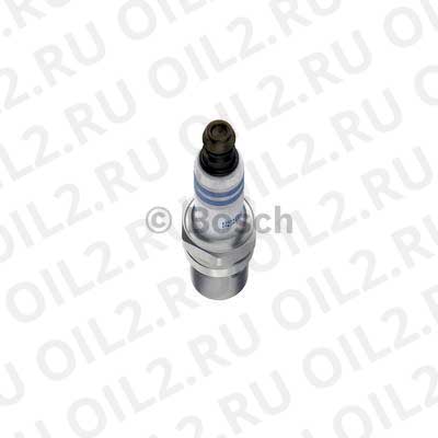 spark plug, double platinum (Bosch 0242236563). .