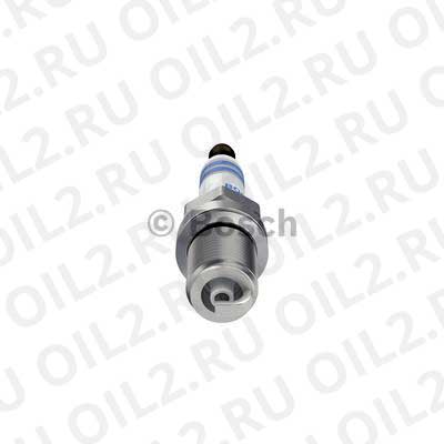 spark plug, double platinum (Bosch 0242236564). .