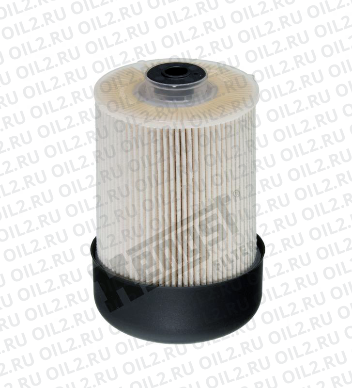   Hengst E446KP D318.  .