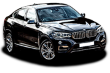     BMW (EU) X6